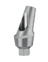 DENTA Angled Abutment  