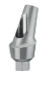 [DENT 5 AAR   2m GH 20] DENTA Angled Abutment 20 Degree Type 2